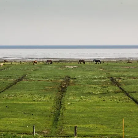 Dünenhuus Ost Ferienhaus *